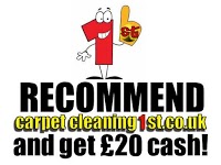 carpet cleaning 1st 359521 Image 5